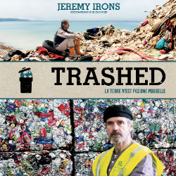 trashed3