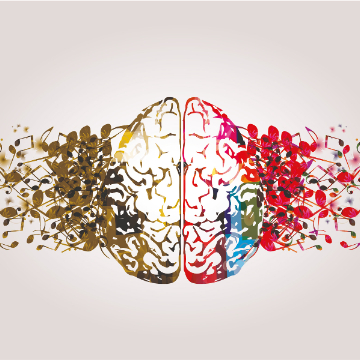 cerveau