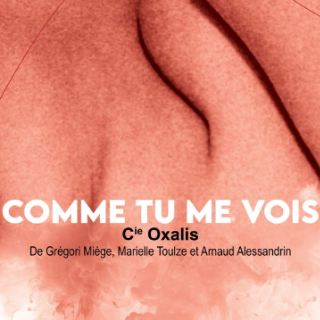 comme tu me vois