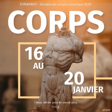 dealers de sciences24