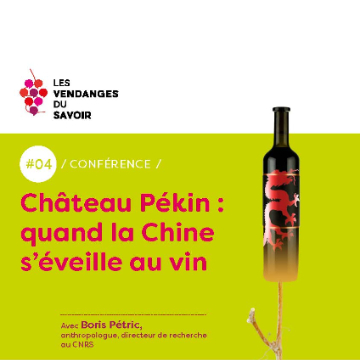 vendanges-fev24