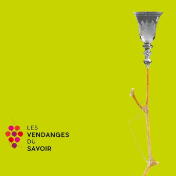 vignette vendanges mars 24