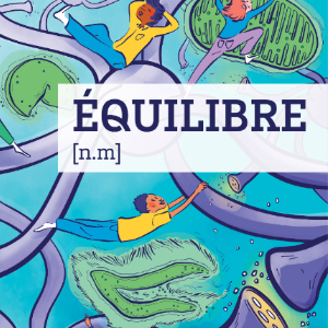 Affiche de l'exposition Equilibre © Donatelle Liens