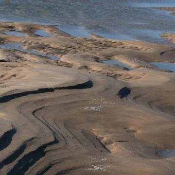 Dialogues entre arts et sciences du littoral